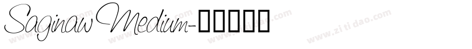 Saginaw Medium字体转换